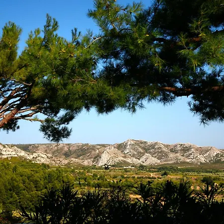 D'aigret Les Baux-de-Provence